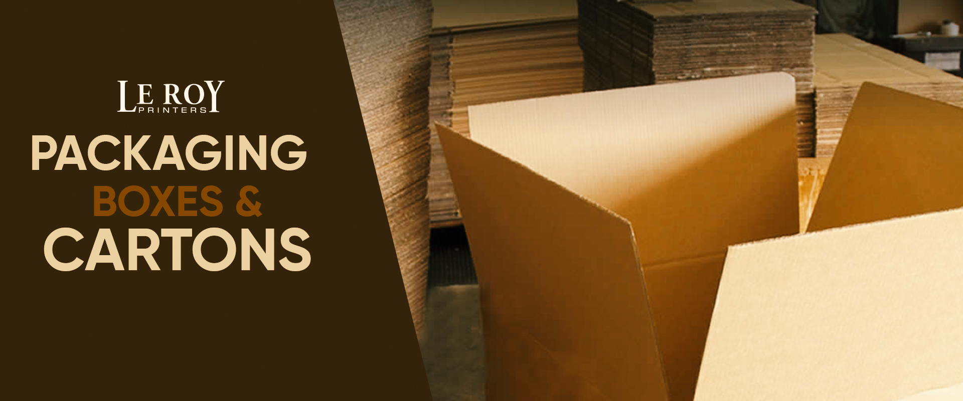 Packaring Box Cartons manufacturing Hoshiarpur, leroy Printers
